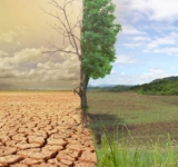 بيان الألكسو بمناسبة اليوم العالمي لمكافحة التصحر والجفاف