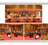 الألكسو تعقد اجتماع المجلس التنفيذي الدورة العادية (113) عن بُعد