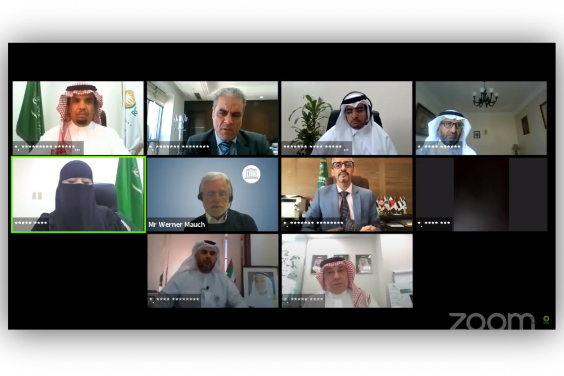   ALECSO Director-General participates in webinar on quality in education