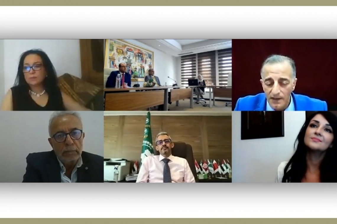   Webinar on Youth and Development in the Arab World