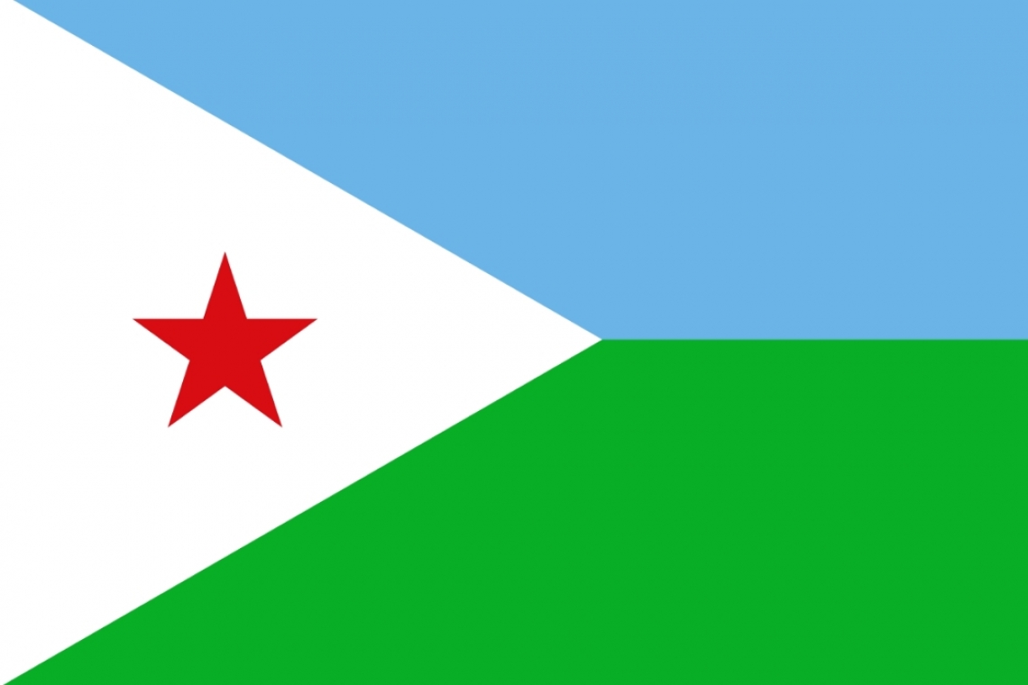 احتفال جمهورية جيبوتي بعيدها الوطني