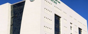 بيان الألكسو بمناسبة اليوم العالمي للتضامن مع الشعب الفلسطيني