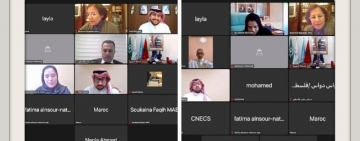 المجلس التنفيذي يثمن مبادرة مؤتمر مستقبل منظمات التربية والثقافة والعلوم