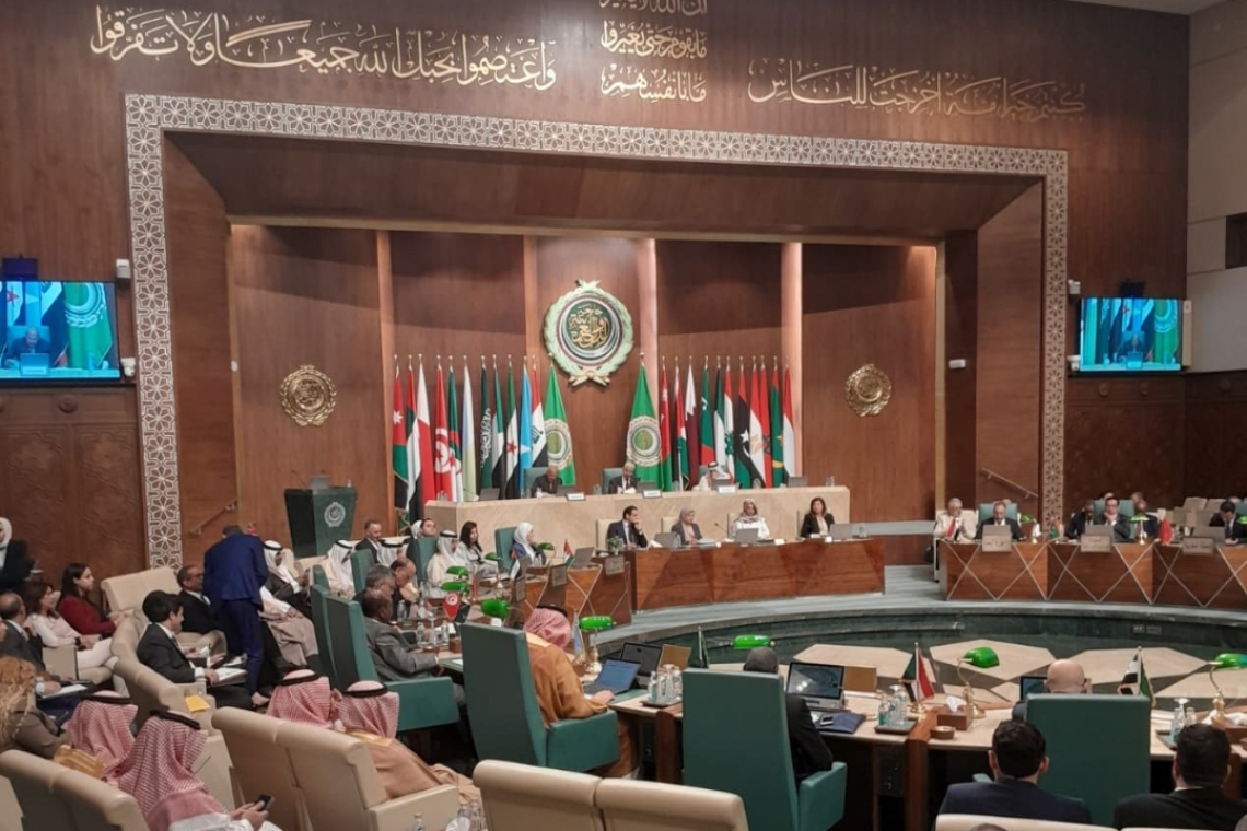 ALECSO Director-General participates in the   Meetings of the Economic and Social Council