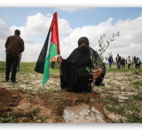 بيان الألكسو بمناسبة يوم الأرض الفلسطيني
