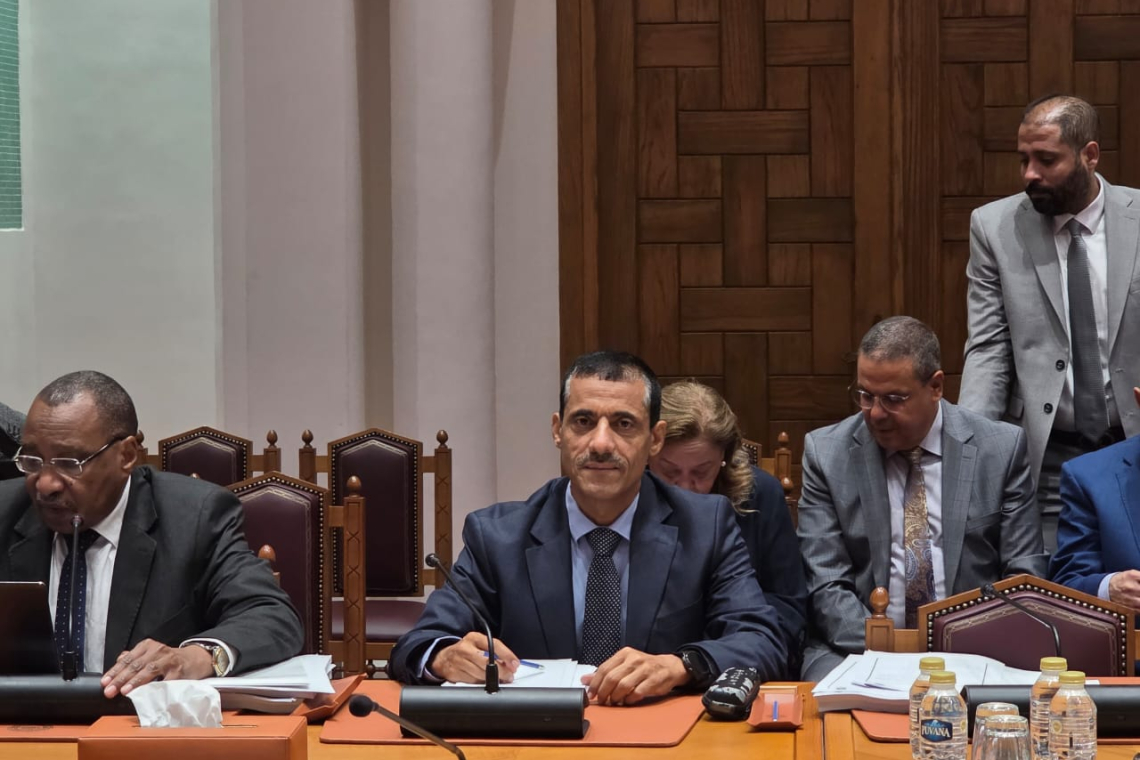 الألكسو تشارك في اجتماعات الدورة (35) للجنة المنظمات للتنسيق والمتابعة
